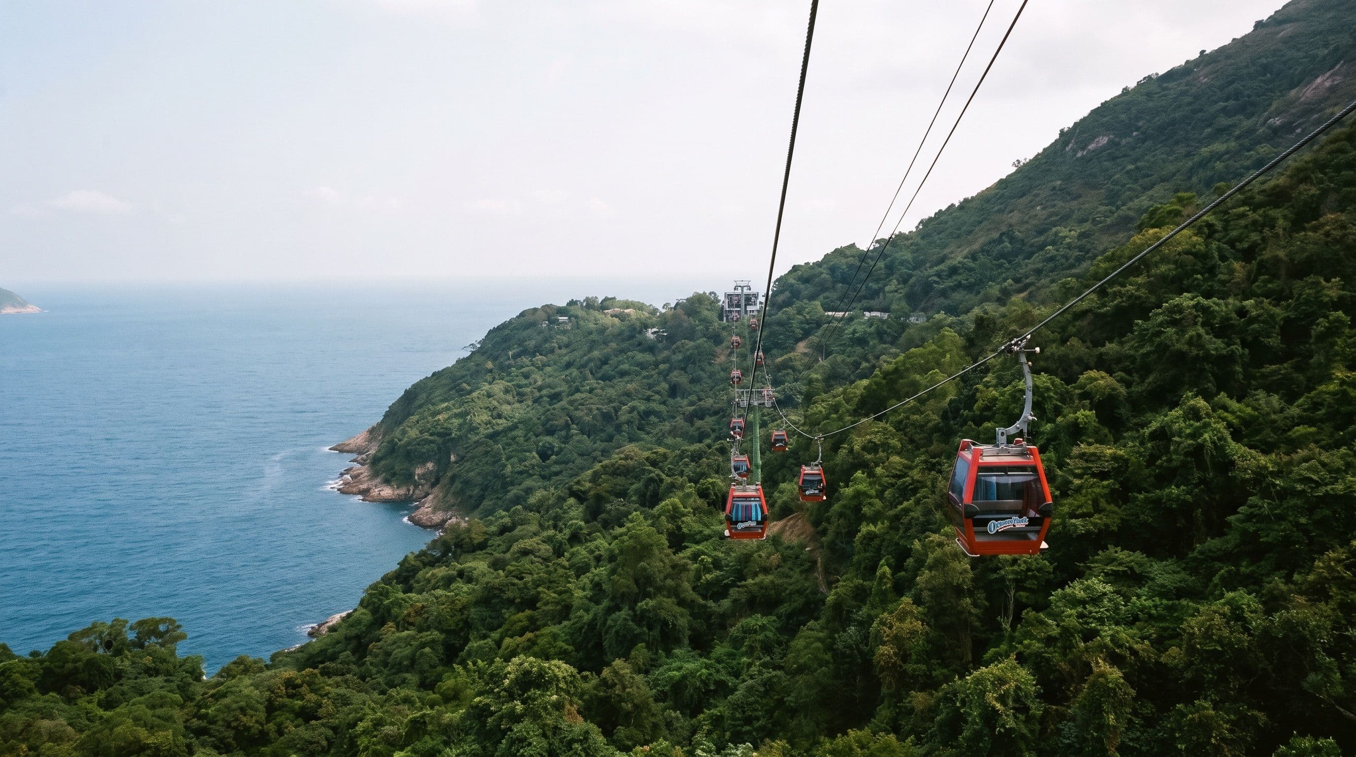 Hong Kong Disneyland vs Ocean Park: Which Is Better for Toddlers?