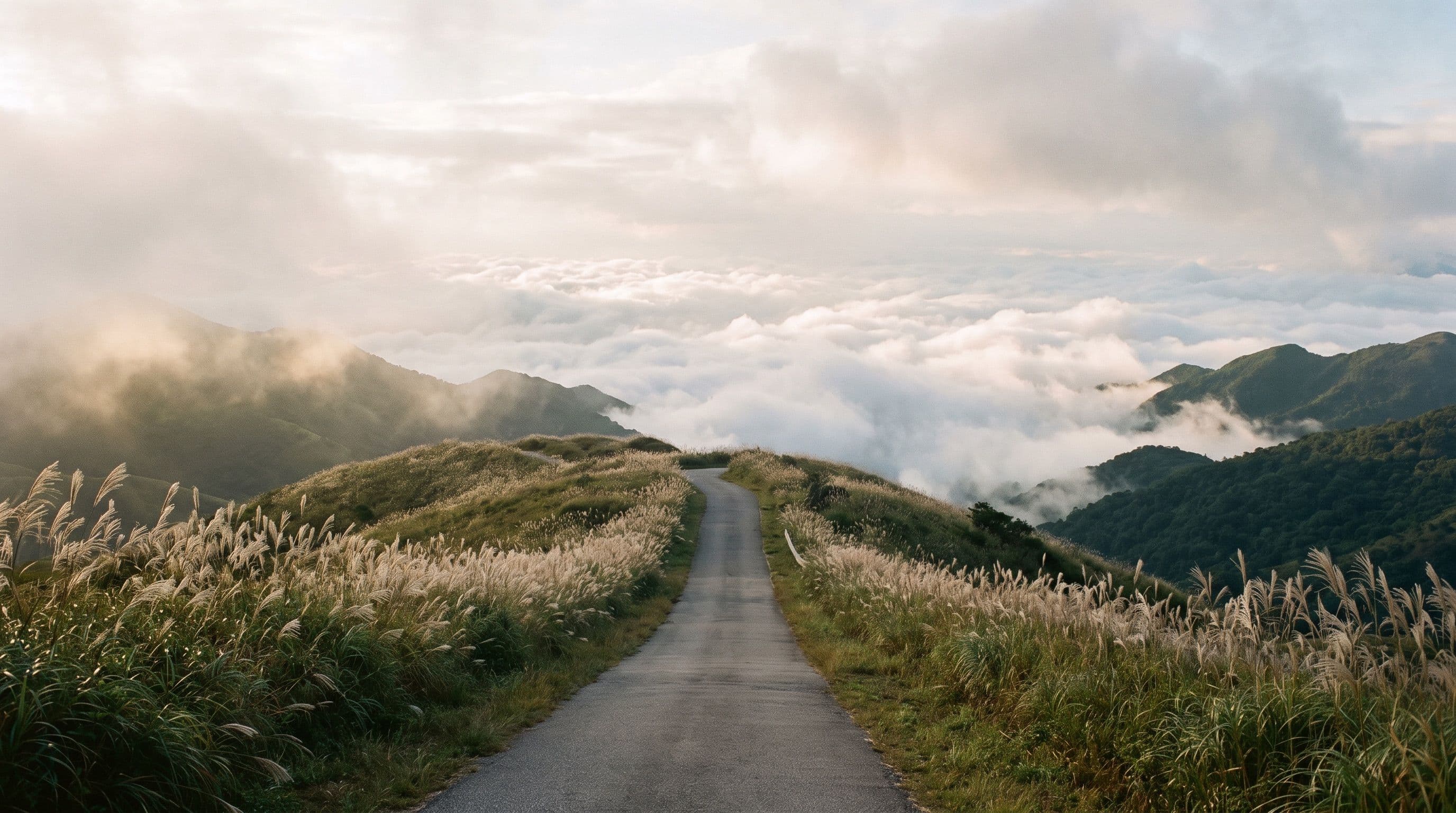 Tai Mo Shan Hike: The Easy Road Route, the Ng Tung Chai Waterfalls Way & Frost Season